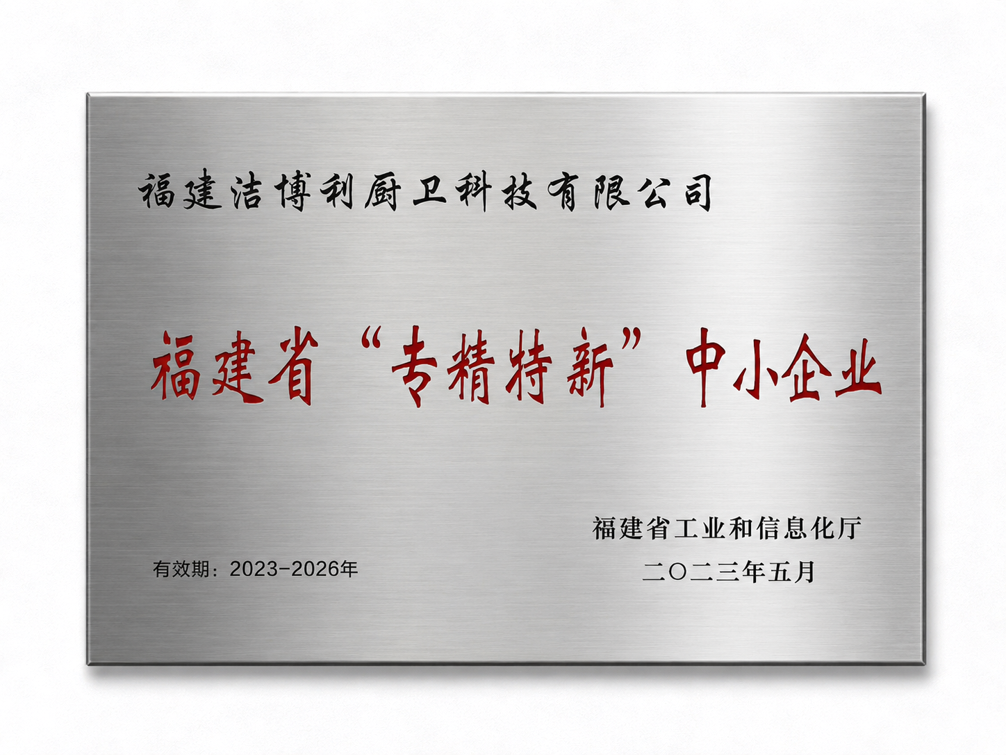 國家專精特新中小企業(yè)